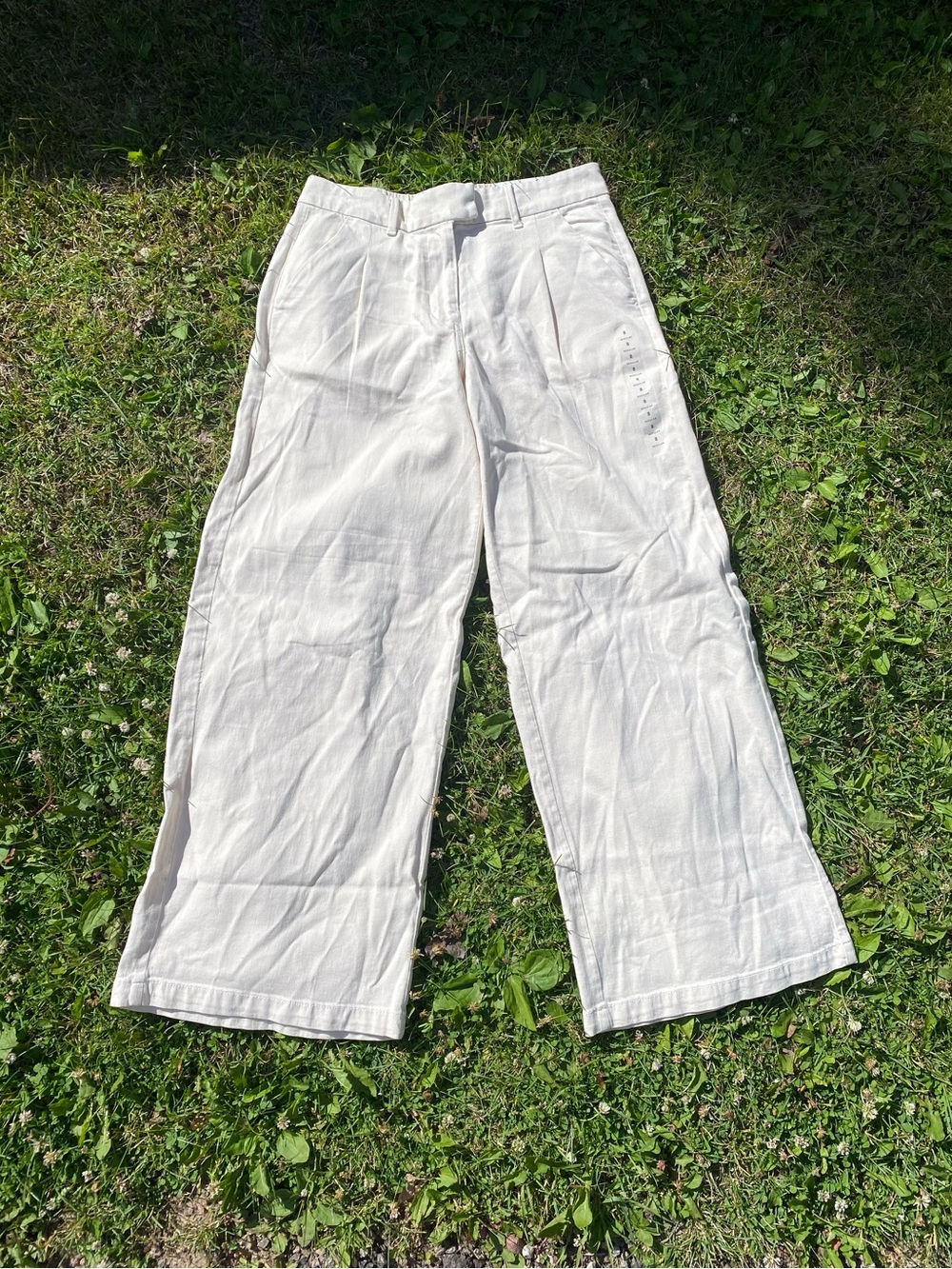 American Eagle Outfitters Cream Wide-Leg Chinos